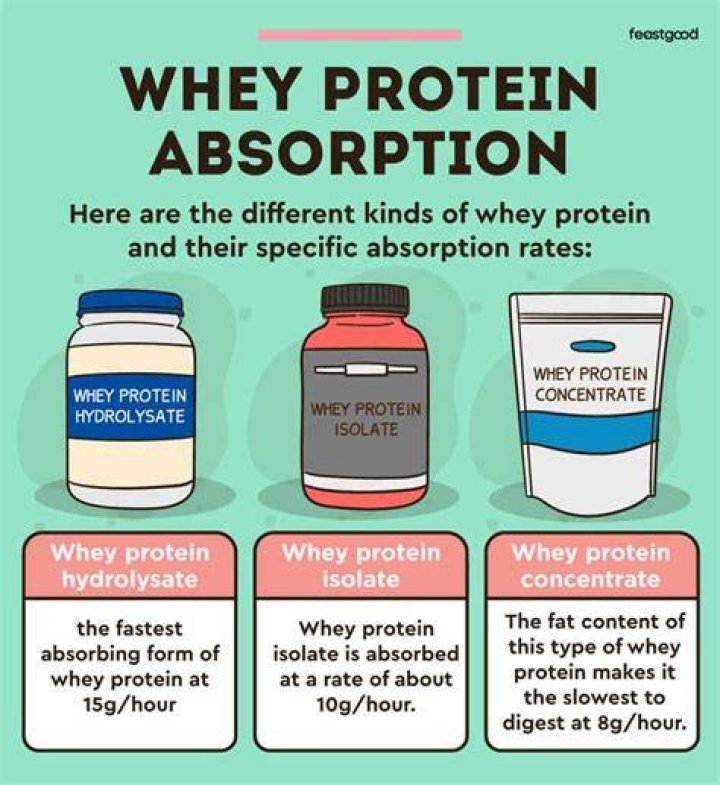 Does whey protein make you break out