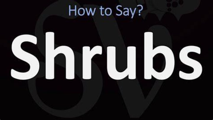How to pronounce shrubs